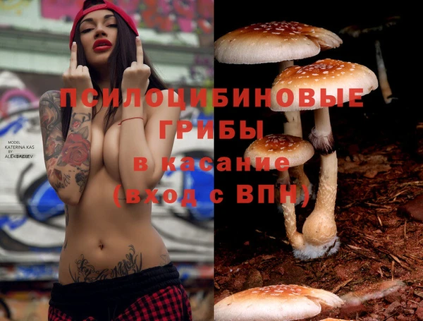 гашишное масло Богородицк