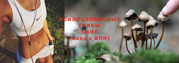 мдпв Богородск
