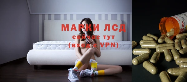 мдпв Богородск
