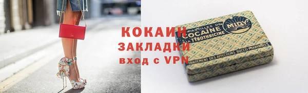 мдпв Богородск