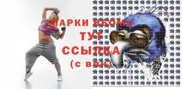 мдпв Богородск