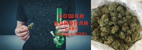 мдпв Богородск