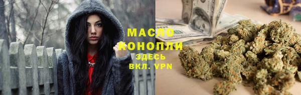 мдпв Богородск