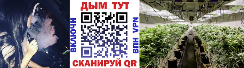 купить   Тихвин  Шишки марихуана SATIVA & INDICA 